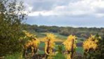 wetterausblick: wetterwechsel zur neuen woche – regen, wolken und wind