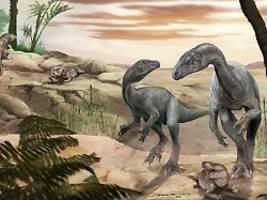 fast vollständiges skelett: einer der ältesten dinosaurier in argentinien entdeckt