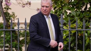 Prinz Andrew: Kam der Buckingham-Palast neuen Enthüllungen zuvor?