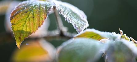 DWD warnt: Frost am Morgen – diese bayerischen Landkreise sind betroffen