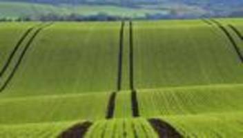 Landwirtschaft: Preise für Agrarflächen bleiben stabil