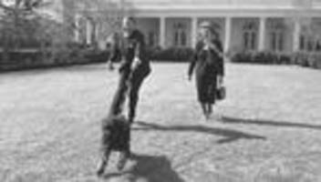 neoliberalismus: dann lieber steuern runter