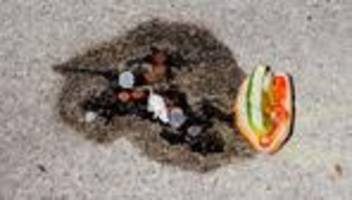 Splatatouille in Chicago: Wer fiel in den Beton?