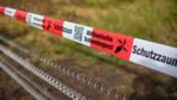 Tierseuche: Hessen errichtet Zaun gegen Schweinepest an Grenze zu NRW