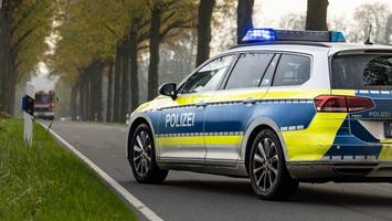 B207: 35-Jähriger rast gegen Baum und stirbt am Unfallort
