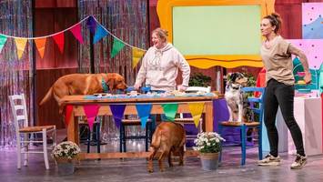 hunde-alarm bei dhdl: „dog moms“ sorgen für reichlich lacher im tv