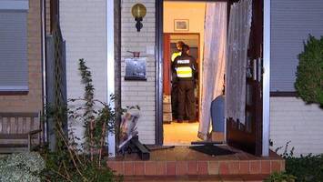 mehrstündige hausdurchsuchung in harburg – polizeihunde im einsatz