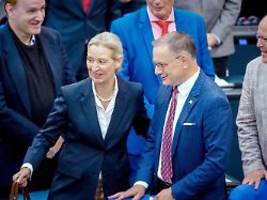 RTL/ntv-Trendbarometer: Mehrheit hat klare Meinung, warum AfD Zuspruch findet