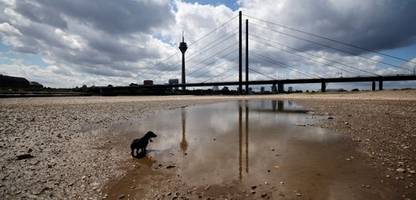 klimapolitik in europa: 2000 wissenschaftler drängen eu zu klimaziel