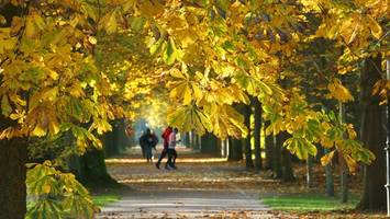 Laufen im Herbst: Auf der Suche nach dem perfekten Zwiebellook