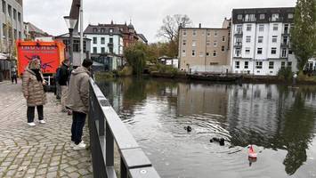 Taucher im Bergedorfer Hafen im Einsatz - Sprecher beruhigt