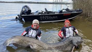 „ein echtes monster“: weltrekord für riesen-wels