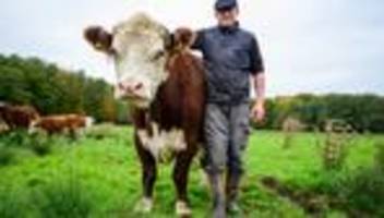 Ernährung: Leben und Schlachten auf der Weide in Lüneburger Heide