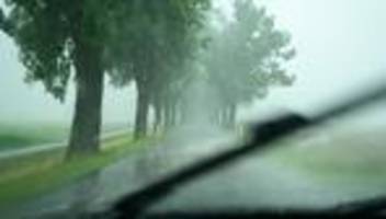 unwetter: starkregen sorgt für Überschwemmungen und umgestürzte bäume