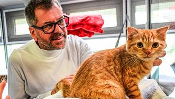 Grüner Spitzenkandidat empört über Umgang mit Tierheim