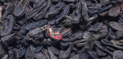 geschichte auf tiktok: warum die wahrheit über den holocaust verloren geht