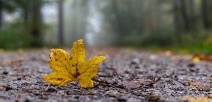 Herbst-Wetter in Deutschland: Jetzt wird's ungemütlich