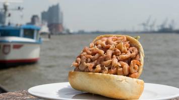 krabben-flut in der nordsee – meerestiere bald deutlich günstiger?
