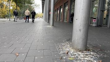 tauben-plage vorm supermarkt: wie das ccb nun reagieren will