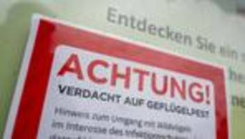 virus breitet sich aus: vogelgrippe: weitere positive fälle - stallpflicht verhängt