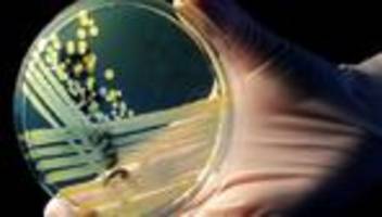 EHEC-Ausbruch: Was über den aktuellen EHEC-Ausbruch bekannt ist