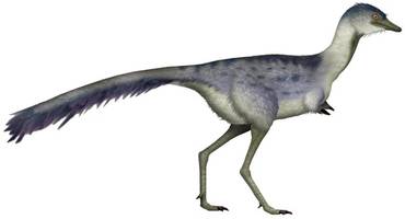 Sensationsfund in Argentinien: Forscher entdecken intaktes Dinosaurier-Ei