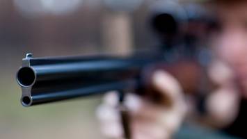 Hirsch erschossen: Polizei ermittelt wegen möglicher Wilderei