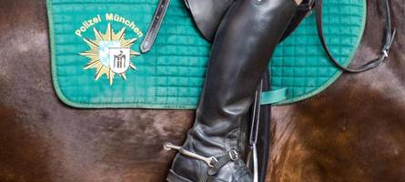 „mit kleinkrieg gerechnet?“: fans wundern sich über massives polizeiaufgebot bei panther-spiel