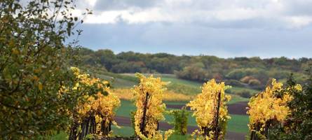 Gewitter, Sturm und Regen: In diesen Landkreisen warnt der Wetterdienst vor heftigen Böen