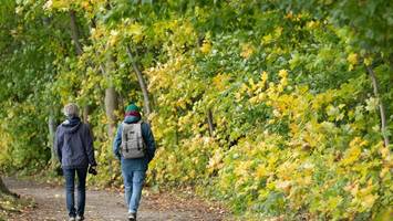 müde trotz pause? diese sechs „zutaten“ helfen bei der erholung