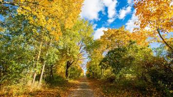 wandern durchs weltnaturerbe – unterwegs im goldenen grumsin