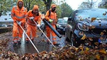 Laubschlacht in Hamburg eröffnet – Stadtreinigung erklärt die Regeln