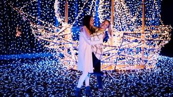 Lichtershow „Lumagica“ im Wildpark Schwarze Berge: Erste Bilder