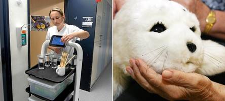 „roboter-revolution“? wie maschinen den pflegenotstand in augsburg beheben sollen