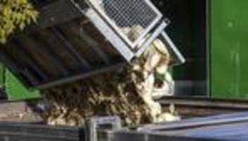 Vogelgrippe: Über 100.000 Tiere müssen wegen Vogelgrippe getötet werden