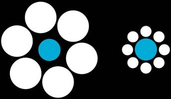 Tiere: Welcher der blauen Kreise ist größer?
