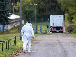 vogelgrippe breitet sich aus: brandenburger geflügelhalter müssen 130.000 tiere töten