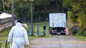 Vogelgrippe: 130.000 Tiere müssen getötet werden