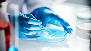 Wie die Wirtschaft die Berliner Gesundheitsindustrie stärken will