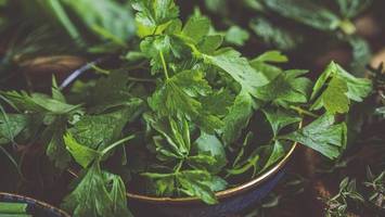 vitamin c: diese lebensmittel enthalten mehr als zitrusfrüchte