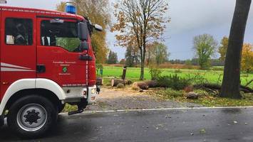 feuerwehr bei hamburg im dauereinsatz – person unter baum begraben?