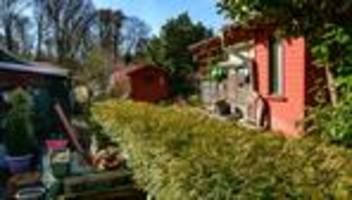 Antrag: CDU will Kleingärten in Brandenburg von Grundsteuer befreien