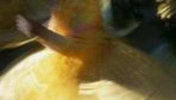 auszug der kinder: kümmerst du dich auch gut  um meine pflanzen?