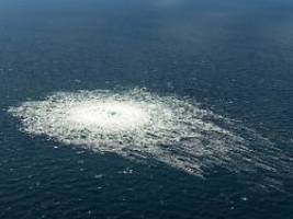 Ukrainer soll nach Deutschland: Italienisches Gericht erlaubt Auslieferung von Nord-Stream-Saboteur