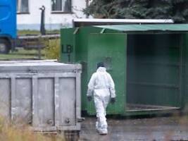 Branche fordert Stallpflicht: Verband befürchtet steigende Eierpreise wegen Vogelgrippe