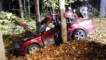 Barnim: Autofahrer kracht gegen Baum – Feuerwehr befreit ihn
