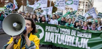 Niederlande: Zehntausende bei Klimaprotest vor Parlamentswahl