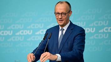 hamburger anwältin veröffentlicht muster-strafanzeige gegen merz