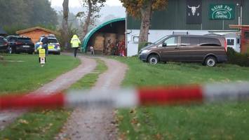 tote frau im kreis steinburg gefunden – mordkommission ermittelt