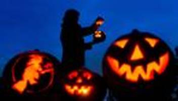 Freizeit: Halloween: Hundeschulen laden zu Gruselspaß und Rätseltouren